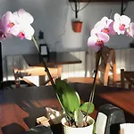 Patrizia Rom