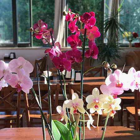 Patrizia Aparthotel Roma