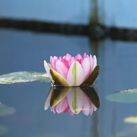 Patrizia Aparthotel 3*