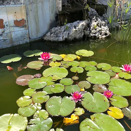 Aparthotel Patrizia Roma