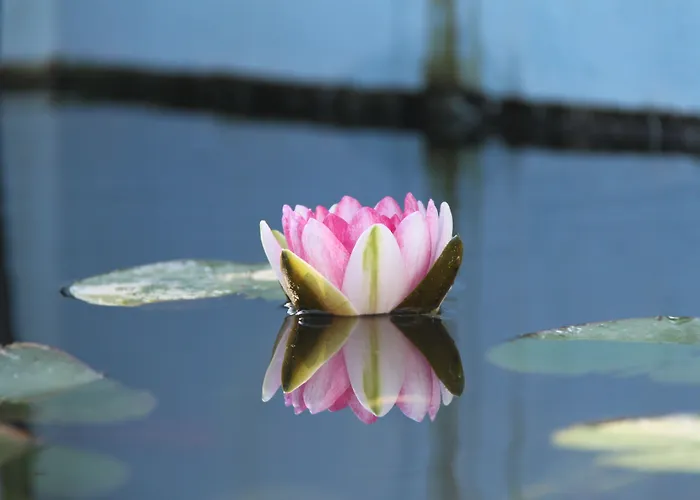 Patrizia Aparthotel 3*