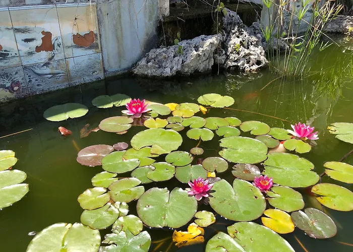 Aparthotel Patrizia Řím