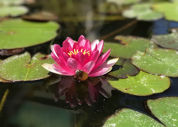 Aparthotel Patrizia Řím